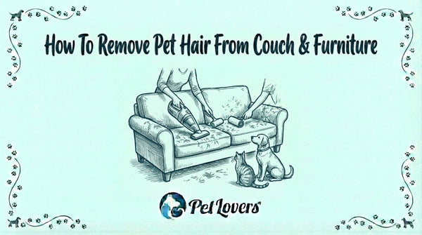How To Remove Pet Hair From Couch & Furniture