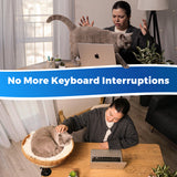 Cat Desk Bed - Rattan