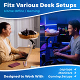 Cat Desk Bed - Rattan