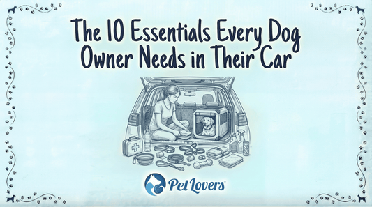 The 10 Essentials Every Dog Owner Needs in Their Car
