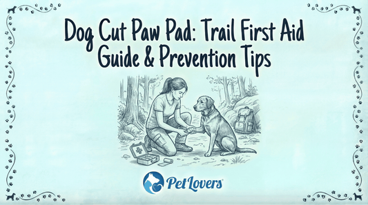 Dog Cut Paw Pad: Trail First Aid Guide & Prevention Tips