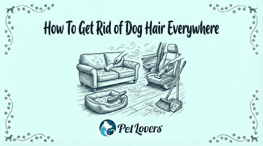 How To Get Rid of Dog Hair Everywhere