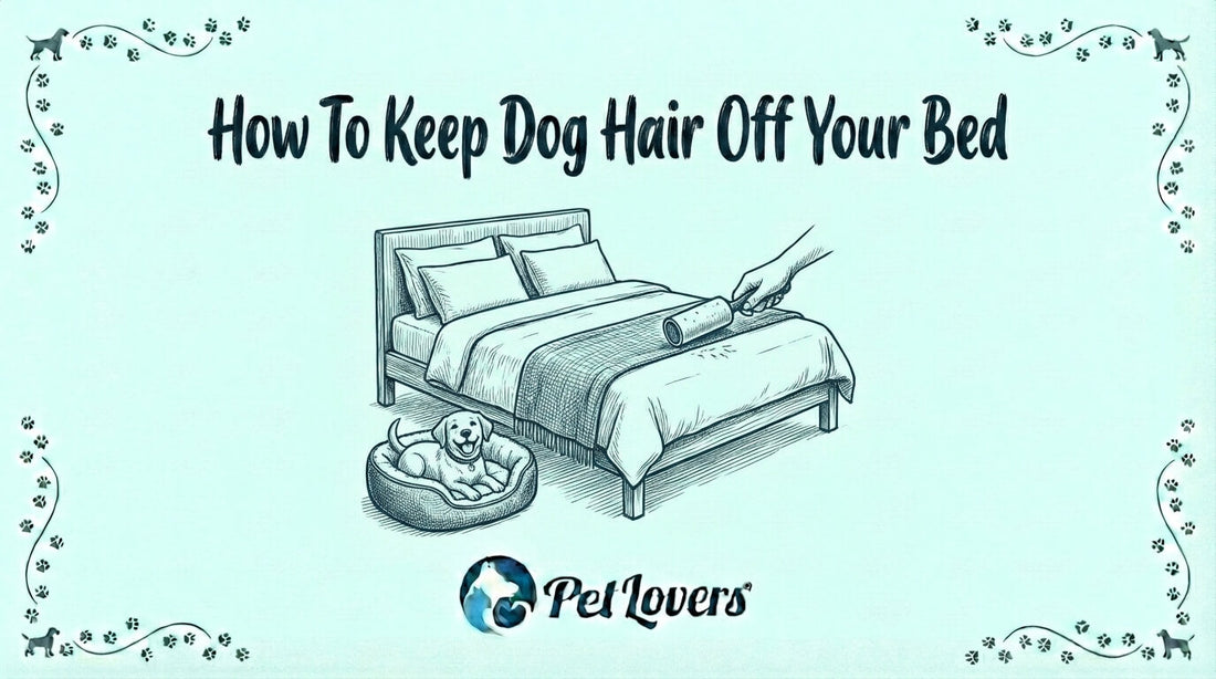 How To Keep Dog Hair Off Your Bed