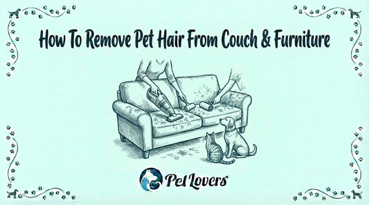 How To Remove Pet Hair From Couch & Furniture