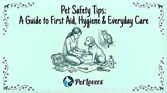 Pet Safety Tips: A Guide to First Aid, Hygiene & Everyday Care