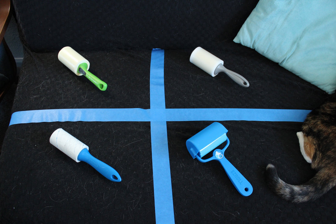 Four pet hair lint rollers arranged in a quadrant grid on a black surface alongside a cat