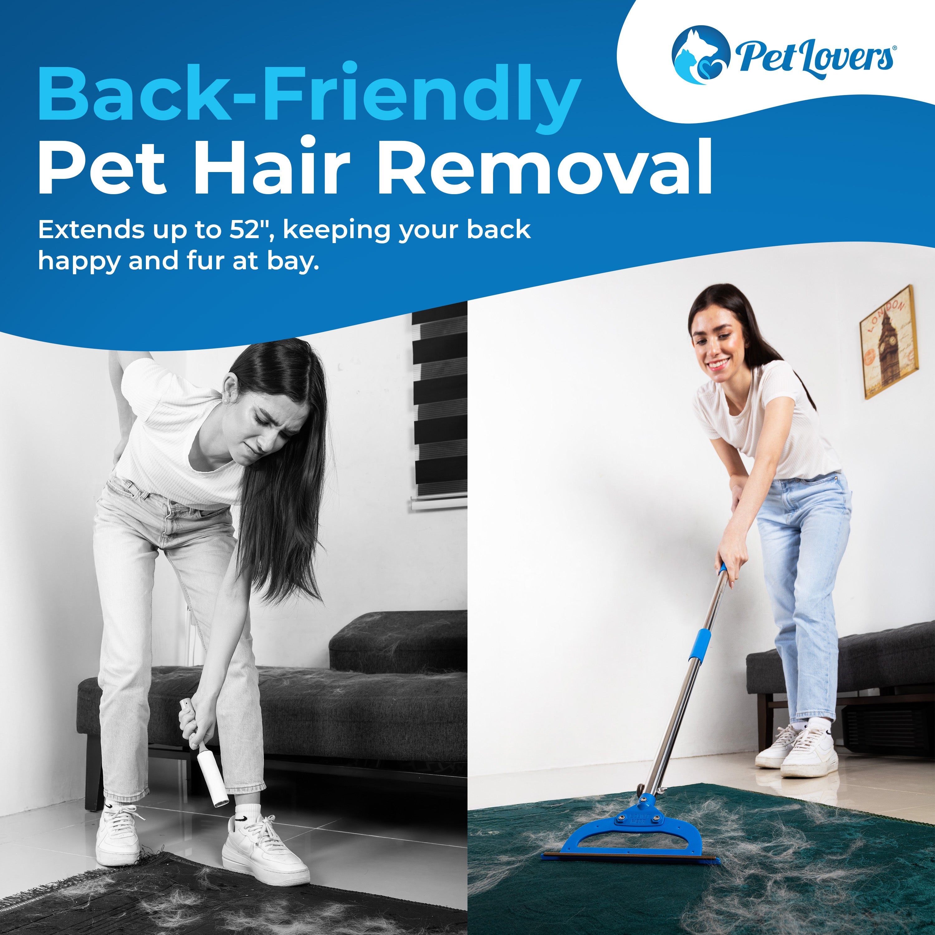 PetLovers EzLint Mega 52" Carpet Rake