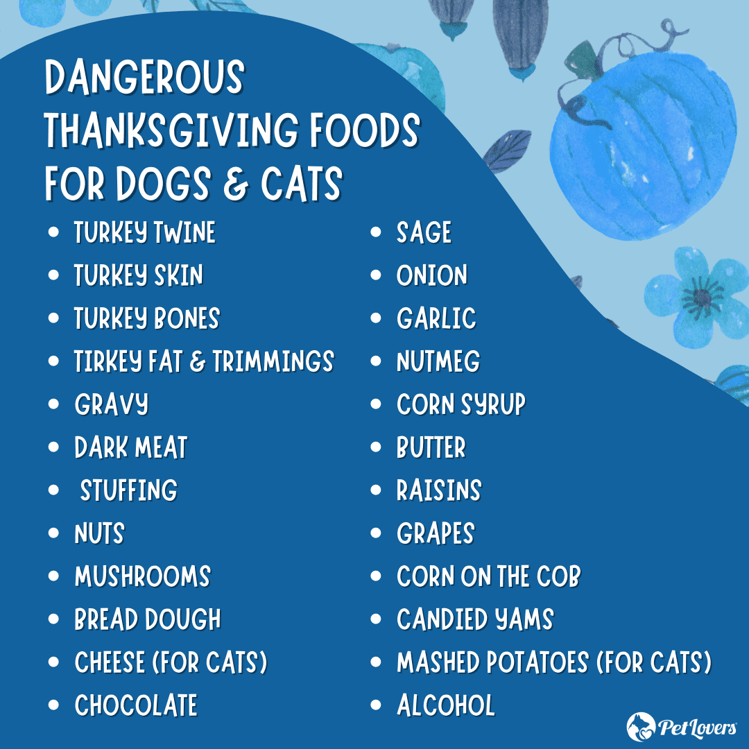 Turkey twine Turkey skin Bones Fat trimmings Dark meat Gravy Sides Stuffing Nuts Mushrooms Bread dough Cheese (for cats) Seasonings Sage Onion Garlic Nutmeg Corn syrup Butter Fruit Raisins Grapes Vegetables Corn on the cob Candied yams Mashed potatoes (for cats) Desserts & Treats Chocolate Alcohol