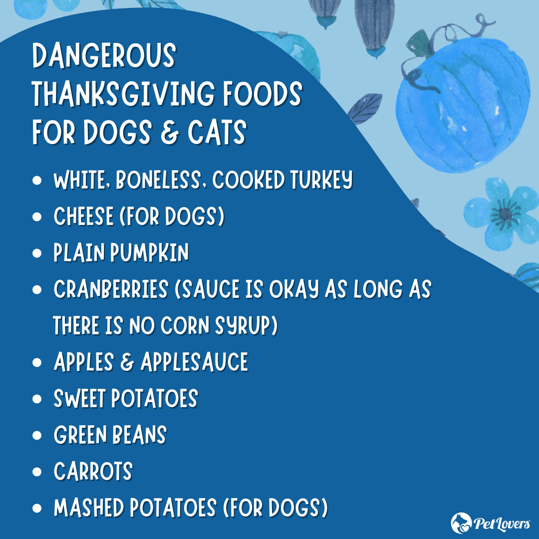 White, boneless, cooked turkey meat Sides Cheese (for dogs) Fruit Plain pumpkin Cranberries (cranberry sauce is okay as long as there is no corn syrup) Apples and applesauce Vegetables Sweet Potatoes Green Beans Carrots Mashed potatoes (for dogs)