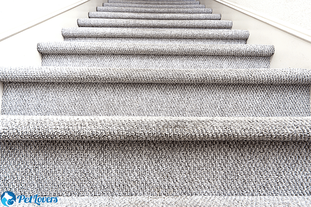 how to clean carpet on stairs