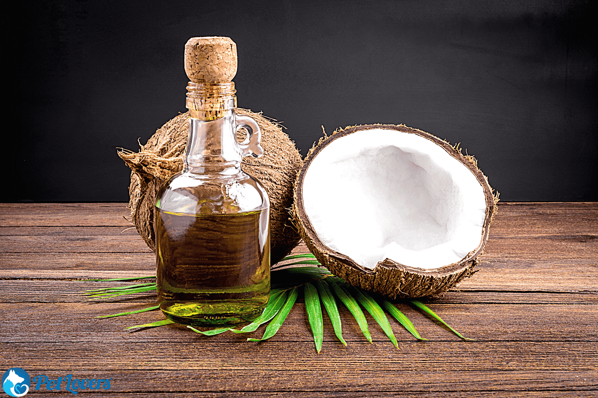 coconut oil for dog shedding