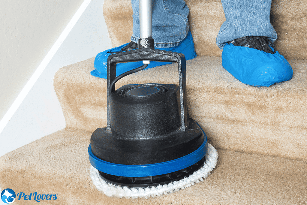 professional carpet step cleaning