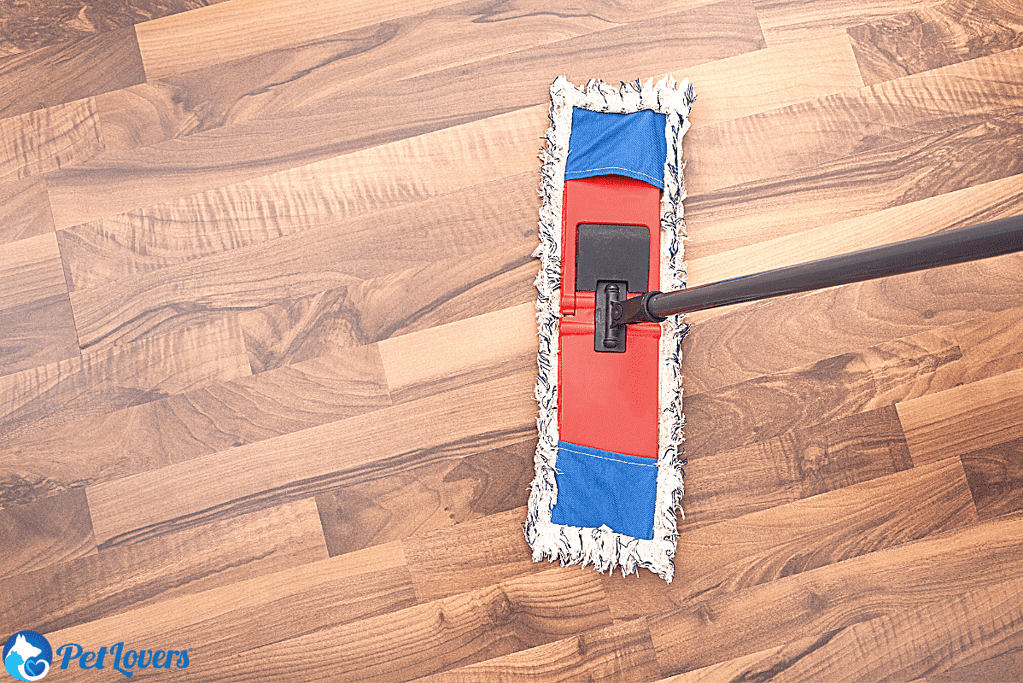 Best Way To Clean Up Dog Hair On Hardwood Floors | Floor Roma