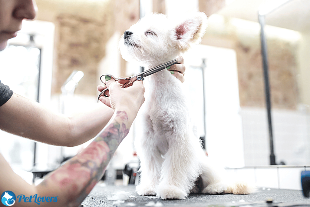 Dog hair mat remover online