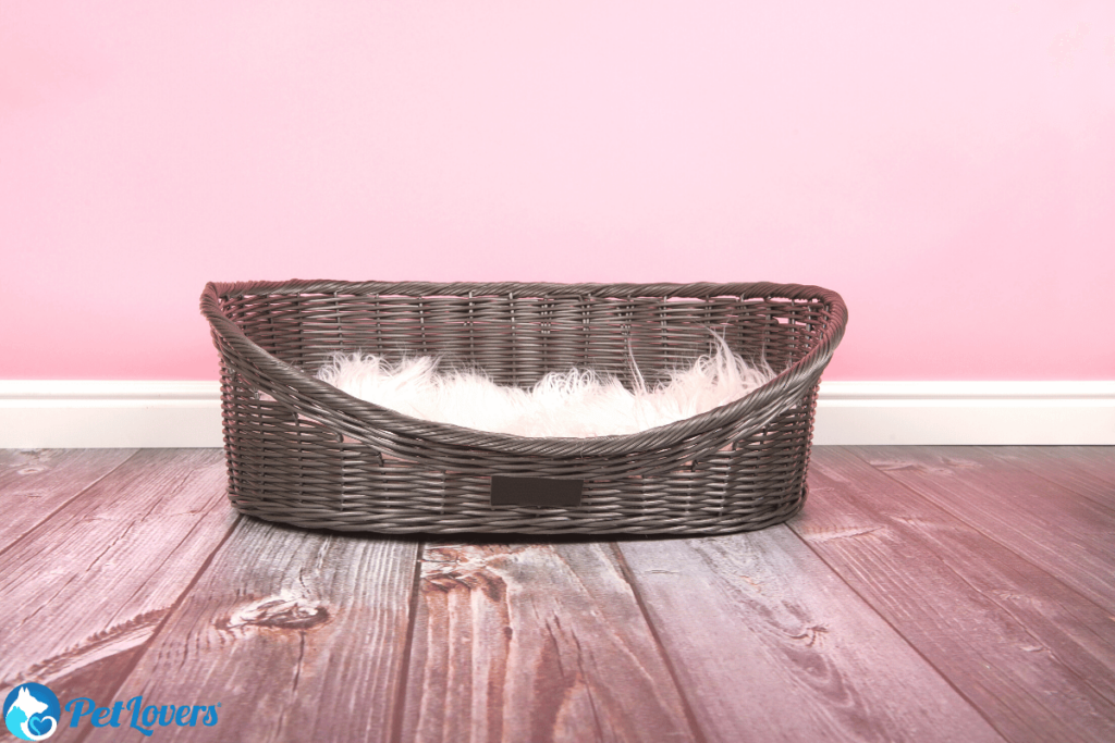 clean a dog bed